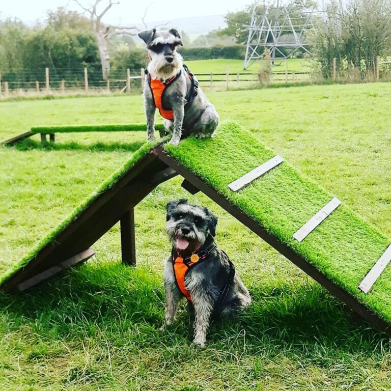 2017 087dc34283e62413b7d9283c3d4097ec 1 768x768