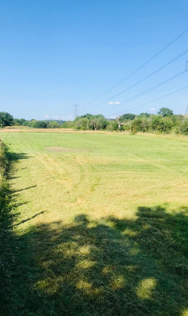 2017 27761a96c407aab60e3c5fa233e5c41b 1 768x1291