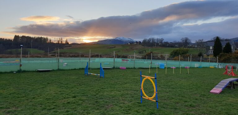 2018 059bcfaa482b1a7437b8febceb389165 1 768x373