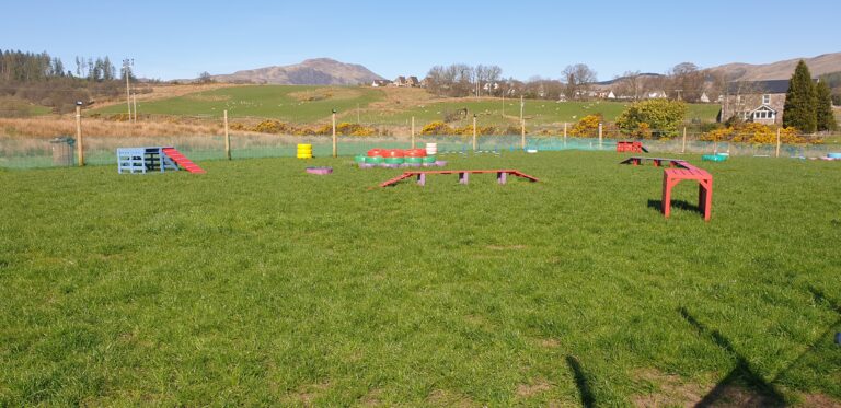 2018 598a555d29f0fb233d8577538889b9a0 1 768x373