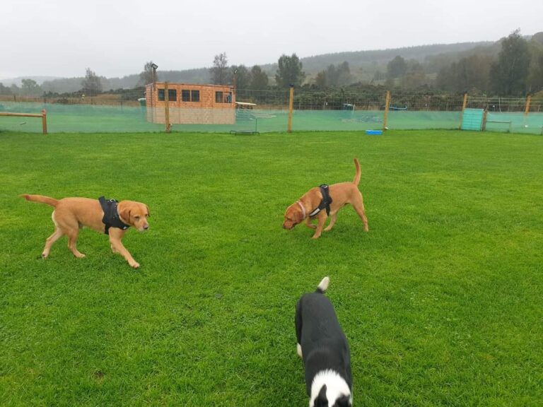 2018 655570d63289c4d673057bbd3a218200 1 768x576