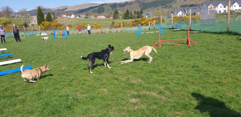 2018 6d53f6b003595da58cd2116f35729ff0 1 768x373