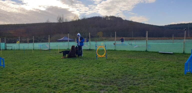 2018 86a778c802490cef96ea66a00527cc88 1 scaled 768x373