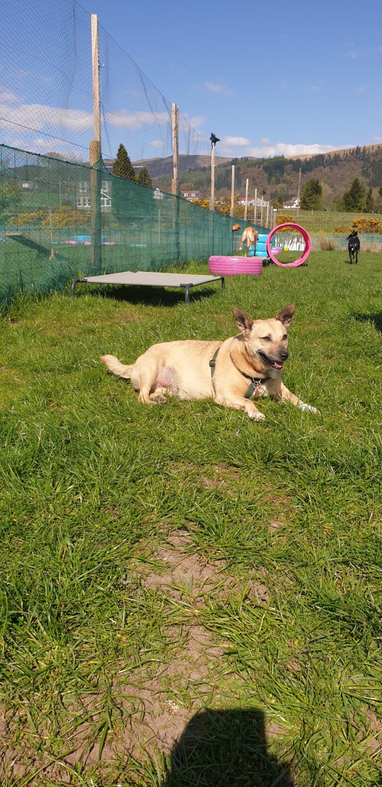 2018 be445f716bae162ac862ce22cca65b38 1 768x1580