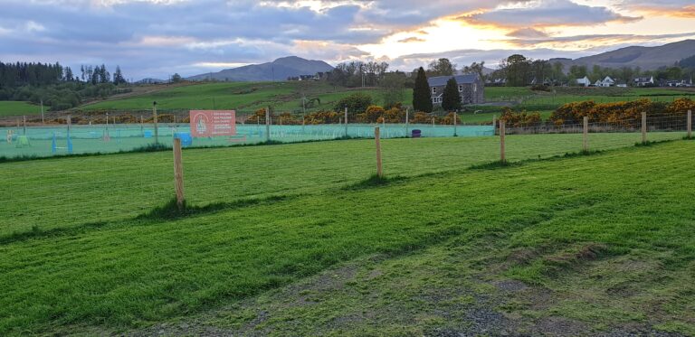 2018 fa280a17f610c01a17c4bbce8899ccb5 1 768x373