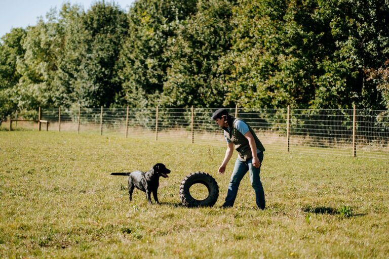 2019 269ffe689435147ba8b814b3235ed0ee 1 768x512