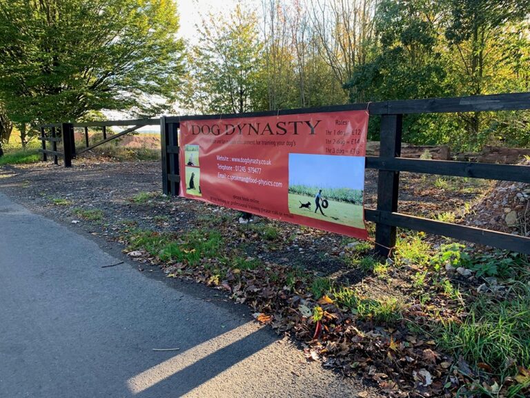 2019 969ea31b7c6f39a405d3546b86e5558a 1 768x576