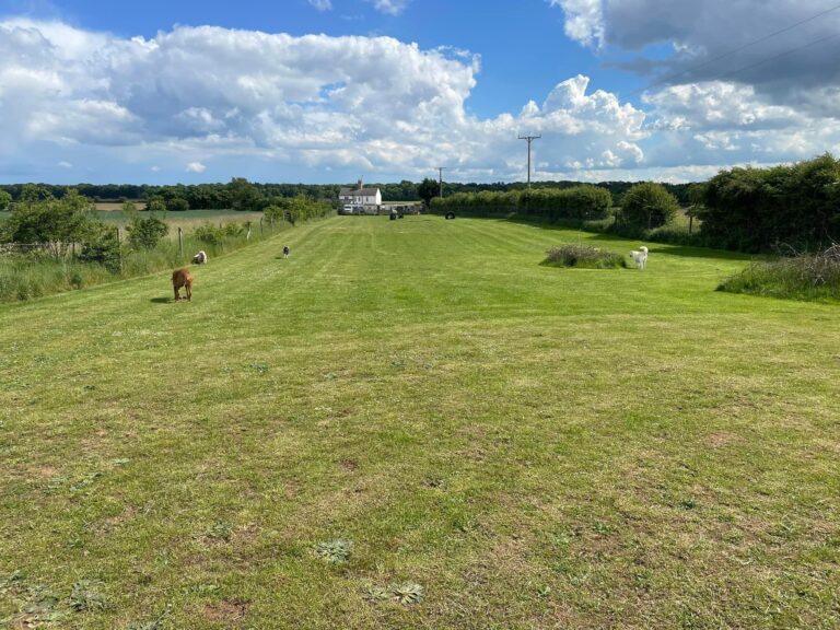 2020 5db751bbf090dfd5f3eba6c30d4720b6 1 768x576