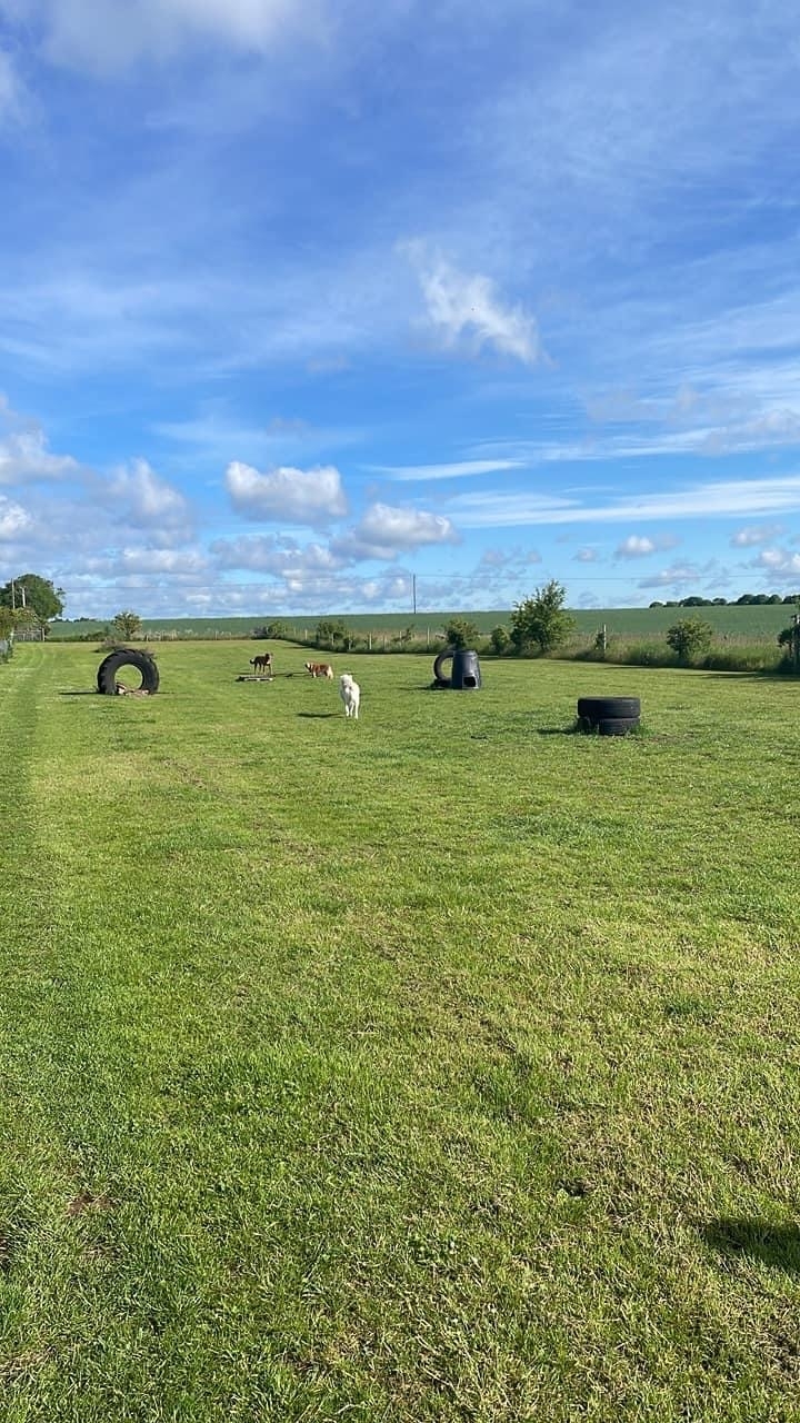 2020 8e0b56847acfd74429a04b72d365412a 1