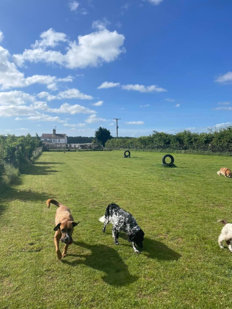 2020 b8d1cfd370483997da4fec94e560b9ab 1 768x1024