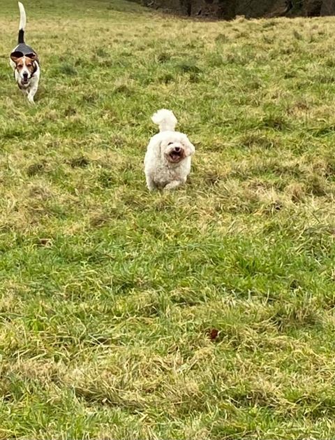 2027 0431d3d53c96352248742c8346178a5e 1