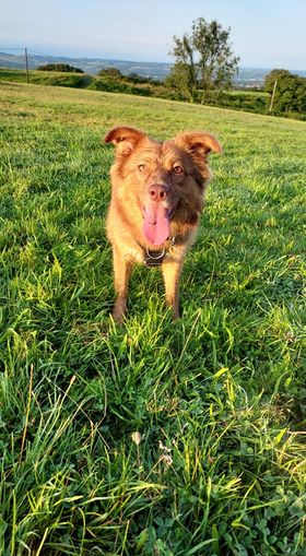 2027 3a96d74ee8af3766783b5ff123b14eae 1