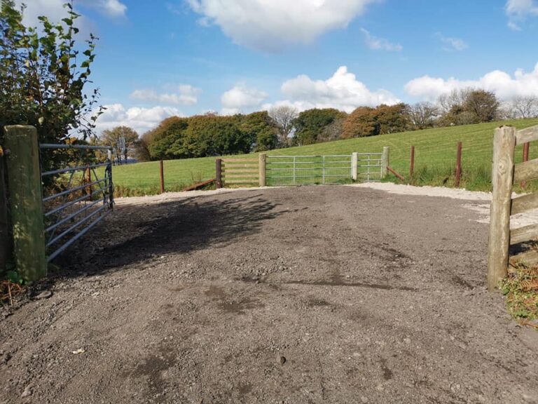 2027 7d5a89bbc01eded89616cf4b17e3a7fb 1 768x576