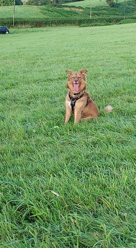 2027 7e5b530becccdc6e8e37675ca654157d 1