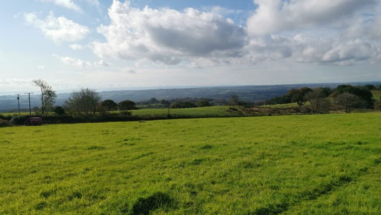 2027 8c6c397d2f611cbe74eb42a38e0a760e 1 768x433