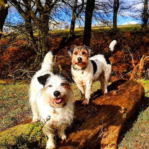 2027 bd1ae88d702ac7ae9b1a11a0b451229d 1