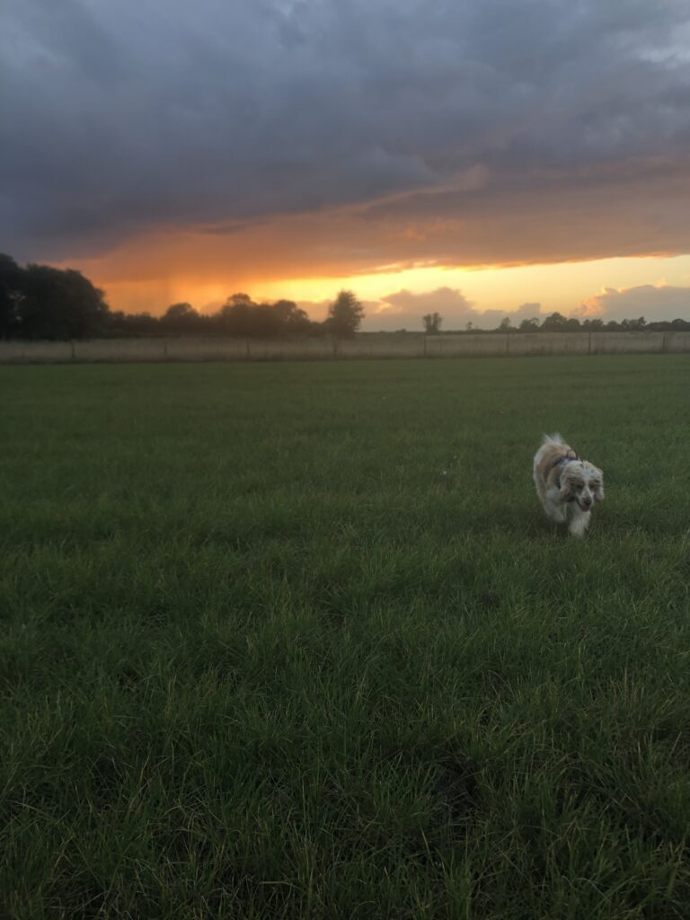 2030 328389821514b16a0c7cfb213ab45061 1 768x1024