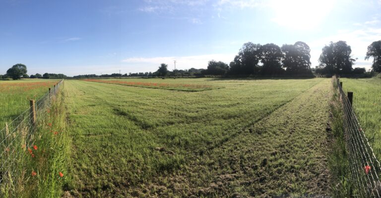 2030 43c4f7c2d71dac6a9722df1a4b7934cf 1 768x399