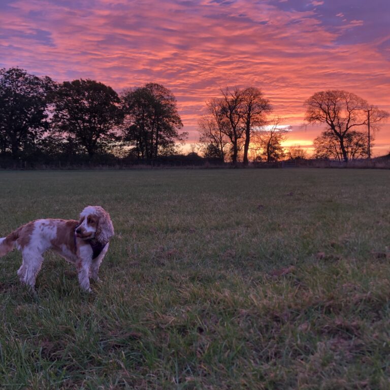 2030 9bb2243a453ee3b7edcd91fa6a950da2 1 768x768