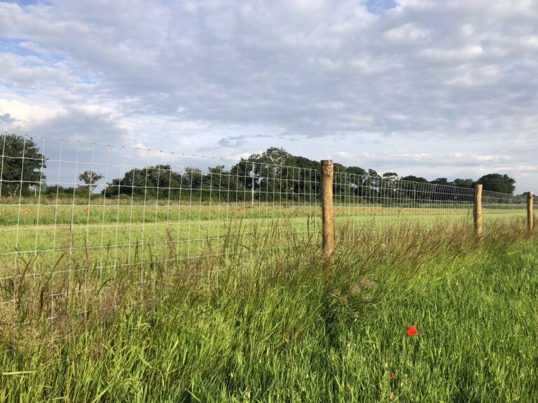 2030 abefcebdda3c94f0184fc1a43ca15c04 1 768x576