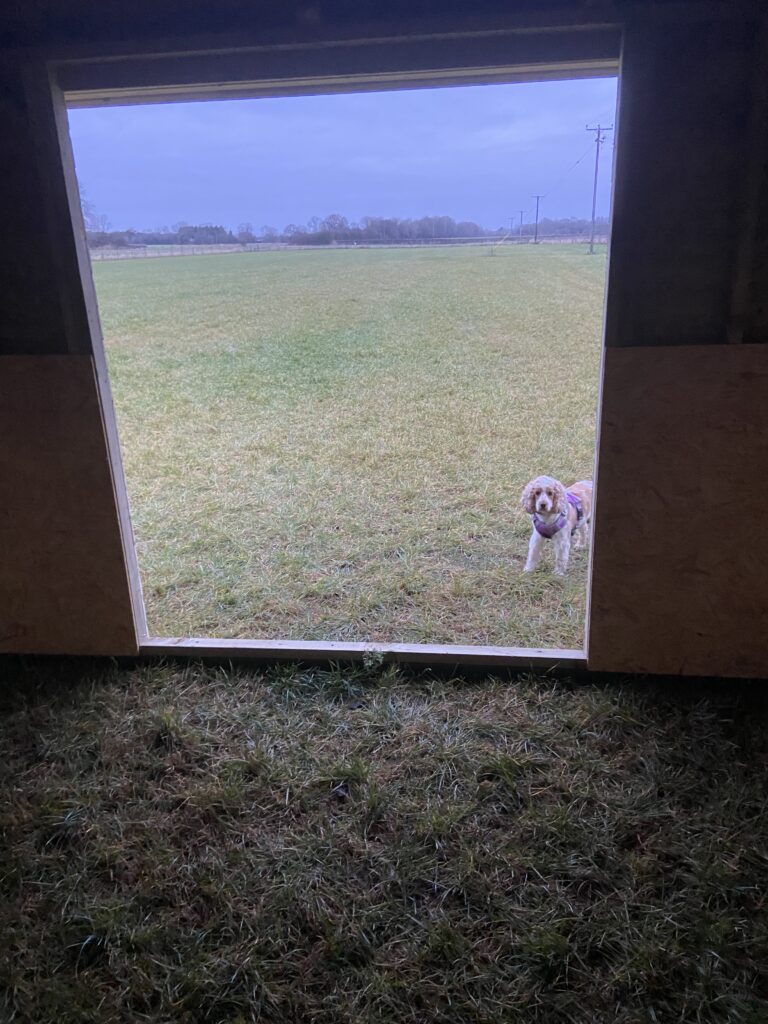 2030 f592e6ddbfba9155de7592c683db3fae 1 768x1024