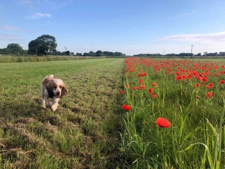 2030 fa955109dda7ae78ba26f91c8ea4f6d0 1 768x576