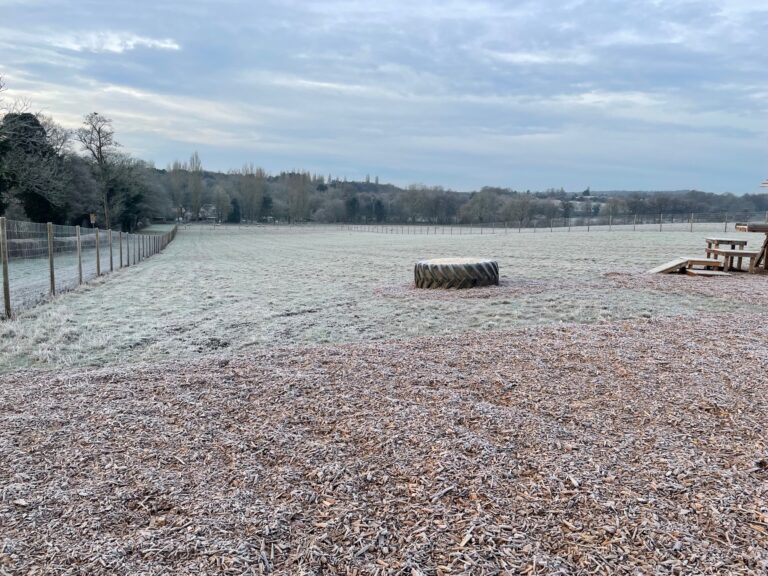 2032 27633d21ec35aa3dcb2e9a9f2b855002 1 768x576