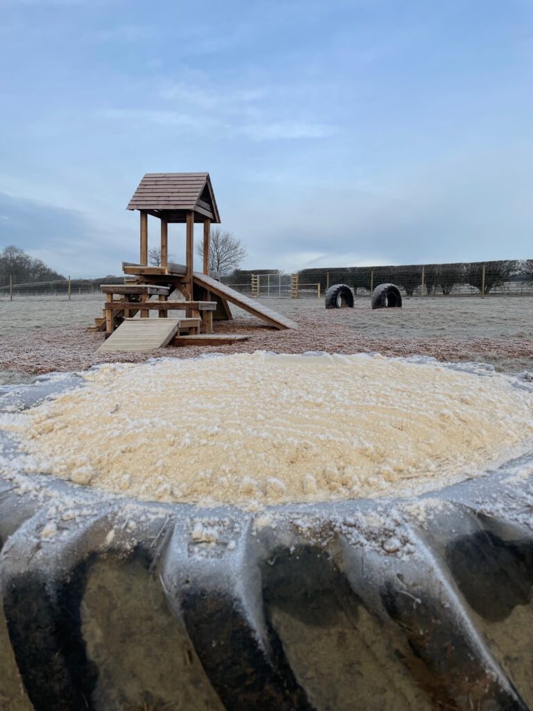 2032 9a6c8181a001f6411e2e214183296c67 1 768x1024