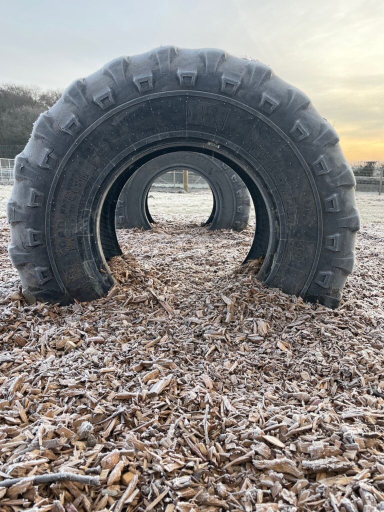 2032 afaebf414450b212b0f411c03263859b 1 768x1024