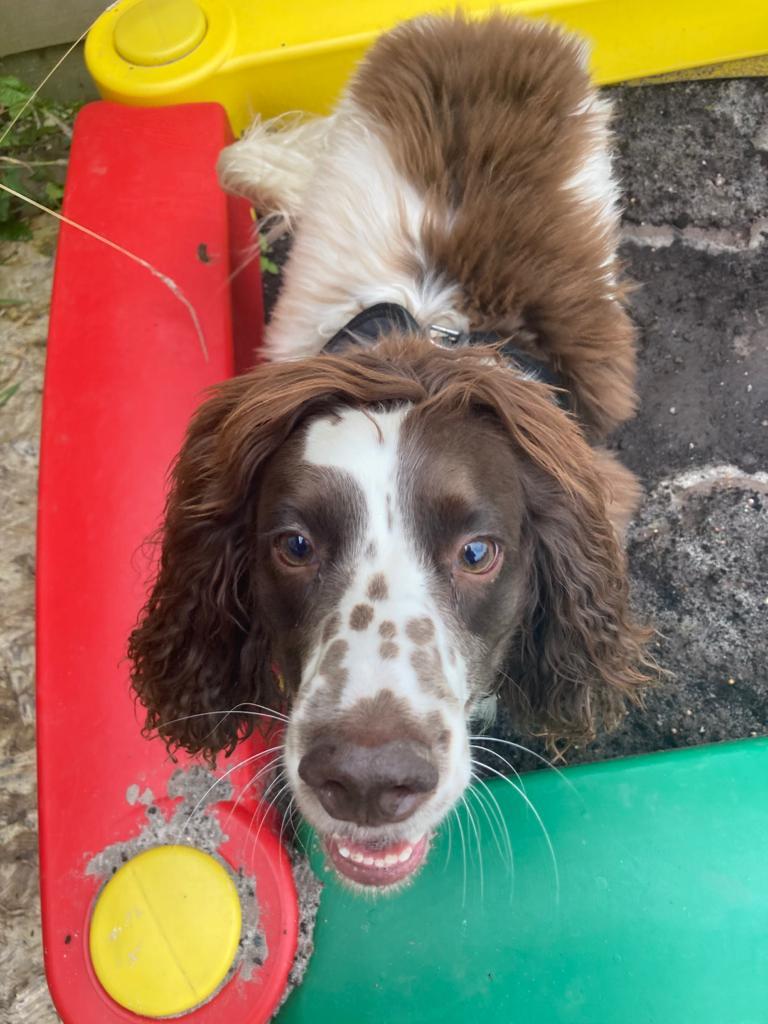 2035 279a6f532eab1996f6273d10301c1177 1