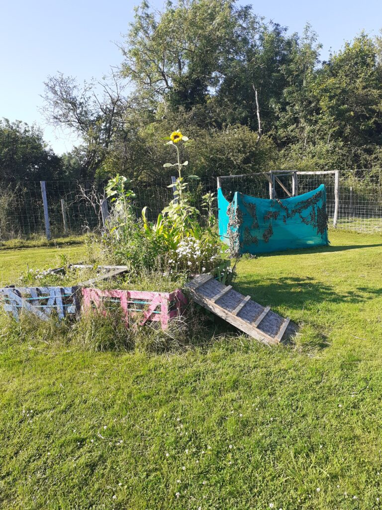 2035 5dfd3ed72ec82fcba04499038a783e95 1 768x1024