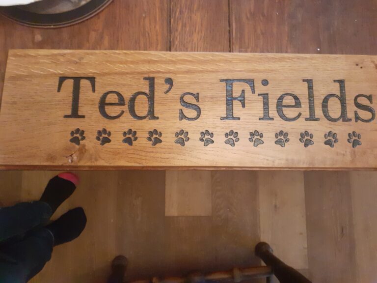 2035 80d44be5bbf189919e1dccff323dce0f 1 768x576