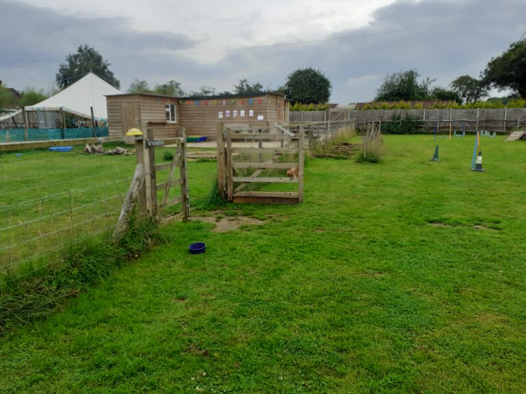 2035 8c047f38d974acfb26e45dc86f760992 1 768x576