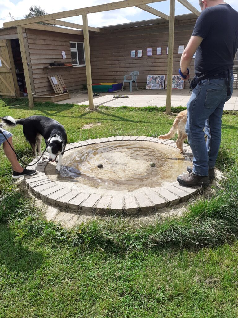 2035 97233cd9bc3c76be29c2d9d372febdab 1 768x1024