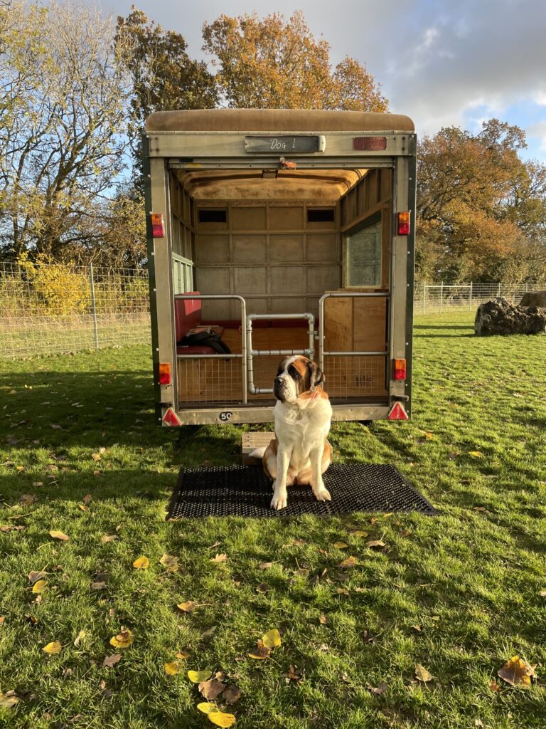 2037 ed5c02908ba8d04ff1d6fce02295884e 1 scaled 768x1024