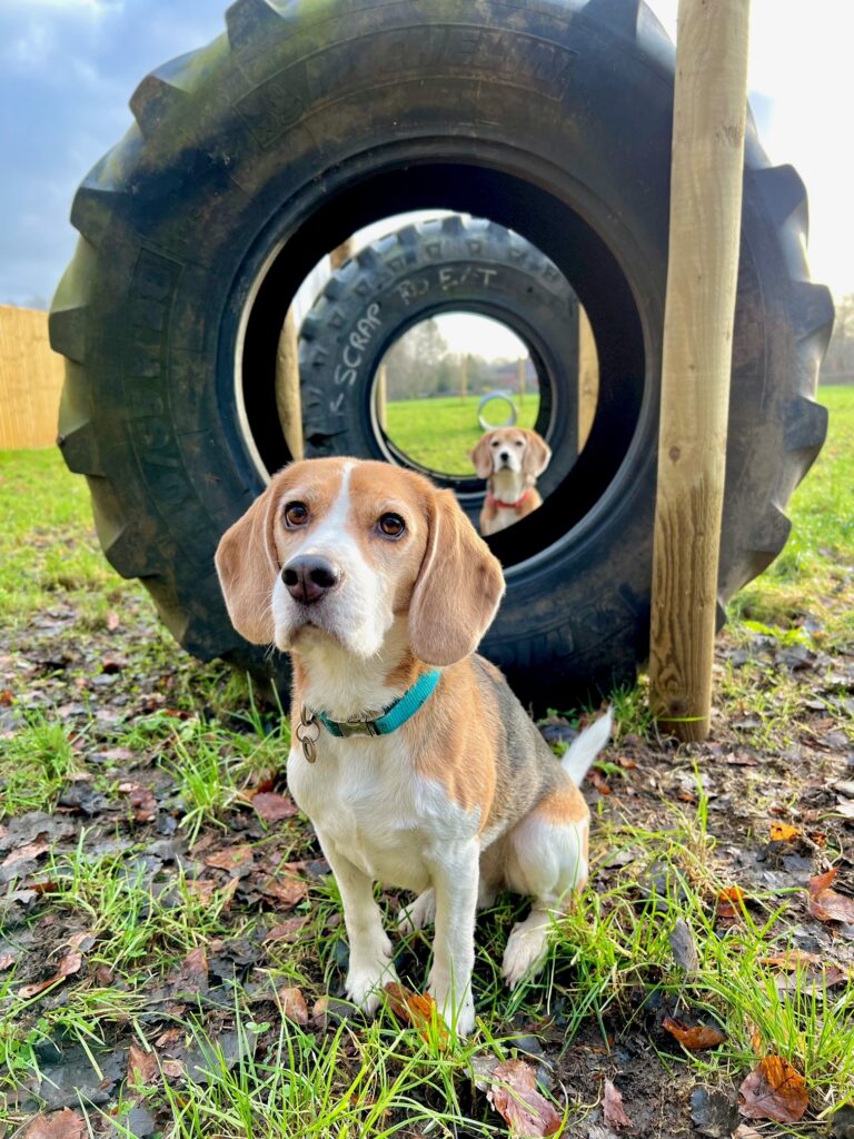 2039 07e07d6ed240e5bd91cde69eb4a3c6b0 1 768x1024