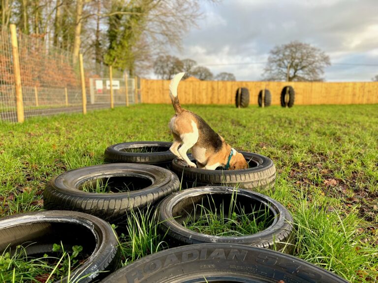 2039 16529676d782615a5d1d8a92caa6638b 1 768x576