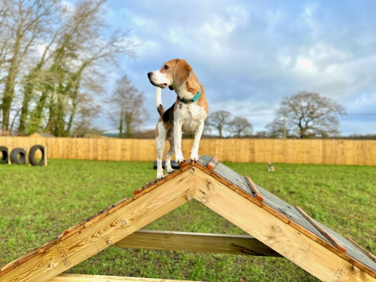 2039 591e27a2239d51dc44f6b609194890f7 1 768x576