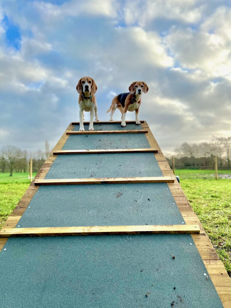 2039 660fd767d95c6bd3adca3b147c9ed328 1 768x1024