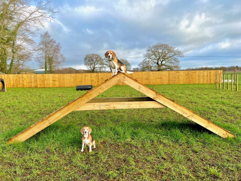 2039 d5671a3426add2dfdc5de98e9a3ed5f7 1 768x576