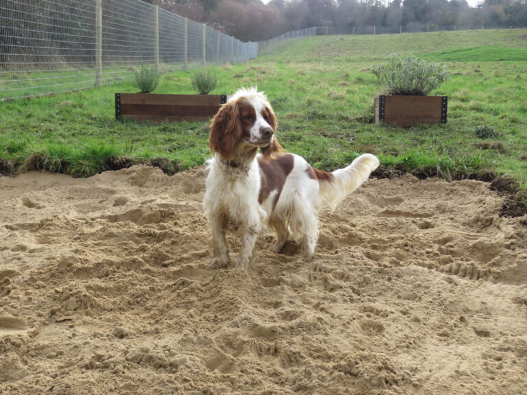 2042 0130dbff8fd6e9621ddf205b70b21dac 1 scaled 768x576