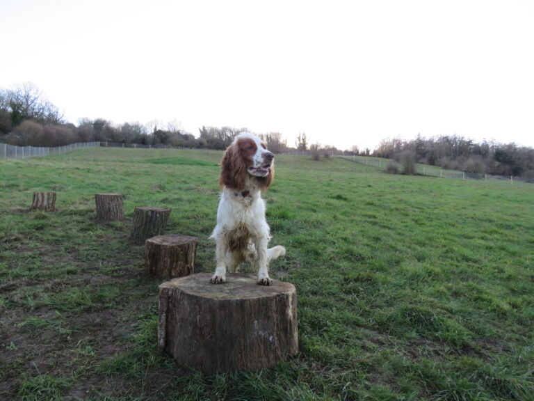 2042 249ffa8d5725464eefa65149bfdebd6a 1 768x576