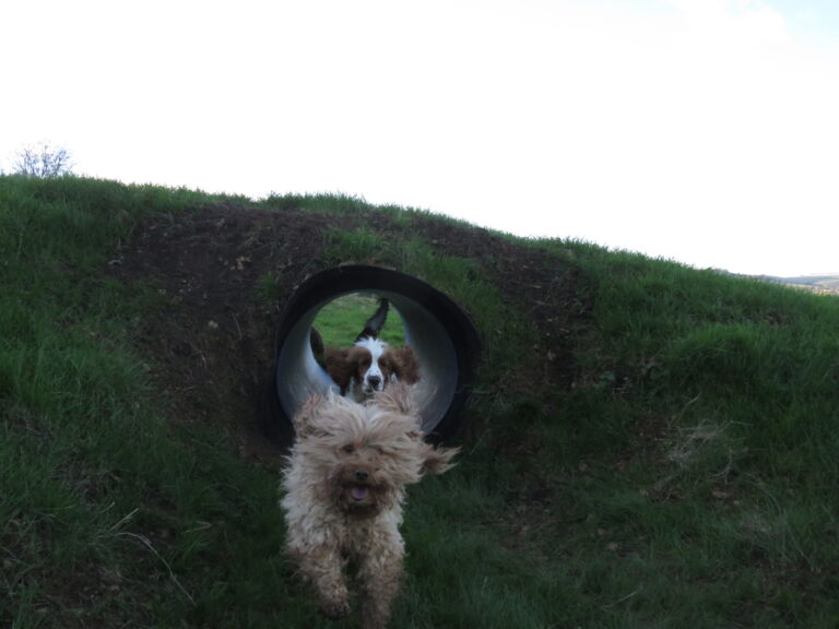 2042 4f19daf17efa218b9f3a2a89b2619d5d 1 768x576