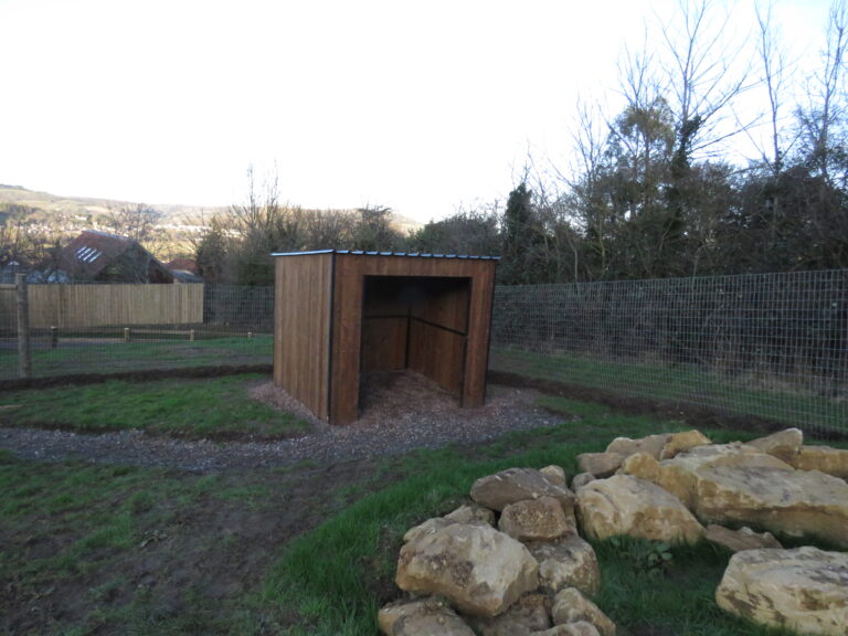 2042 527fadc2cff497850ea93bc108fceedb 1 768x576