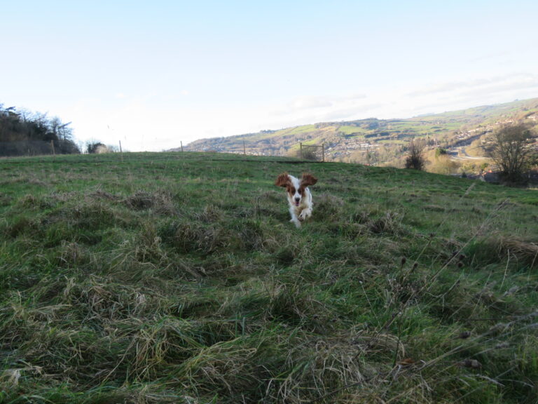 2042 68838ed1f15247e867280a0a02d9855f 1 768x576