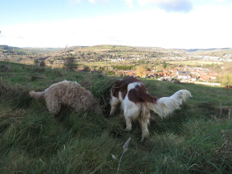 2042 957e342ae3990d081fc84f10073329f5 1 768x576