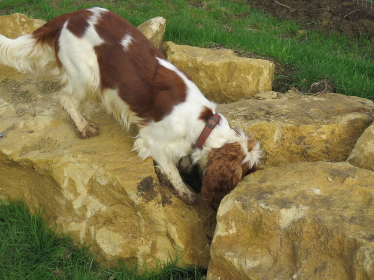 2042 97c9f663b14c42bf59785b964c05aa39 1 768x576