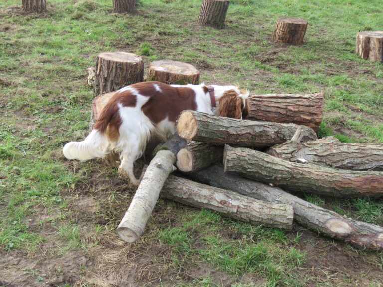 2042 9d3bf0d0585fb5832a4905e17217d5f6 1 768x576