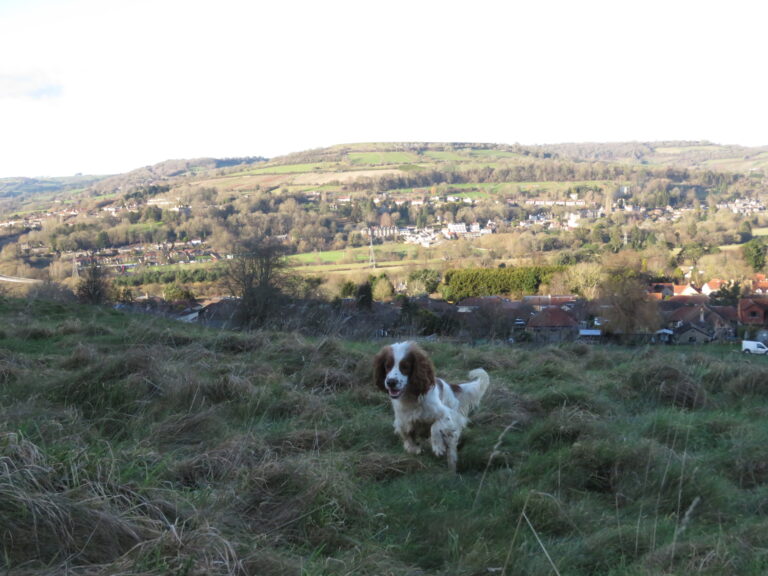 2042 cf942d6aa9436952374e6c6ab872b1bb 1 768x576