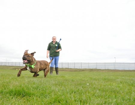 2043 3a52c3635cff8b0ddd94e885cb174c37 1